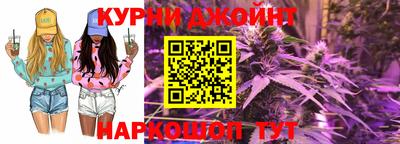 стаф Ставрополь