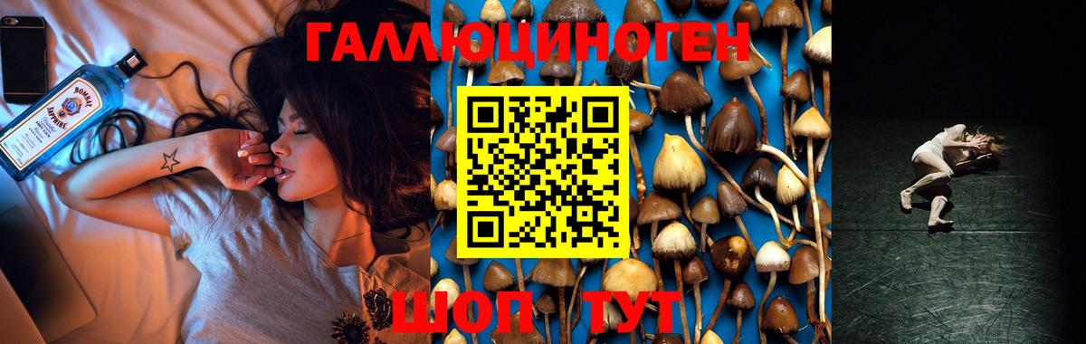 Новоуральск  Галлюциногенные грибы GOLDEN TEACHER  Вход с VPN  Галлюциногенные грибы мухоморы 